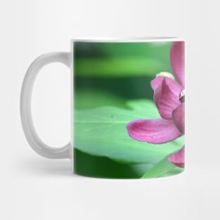 Calycanthus Mug